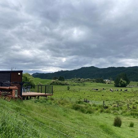 White Pine Bush Cabins Taneatua Екстериор снимка