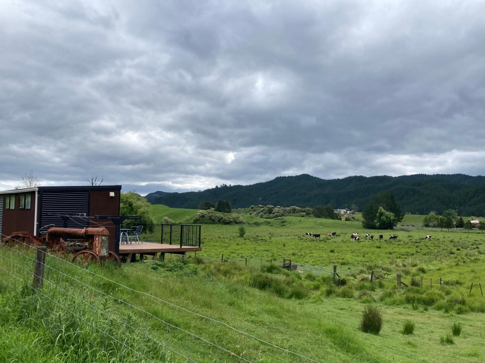 White Pine Bush Cabins Taneatua Екстериор снимка